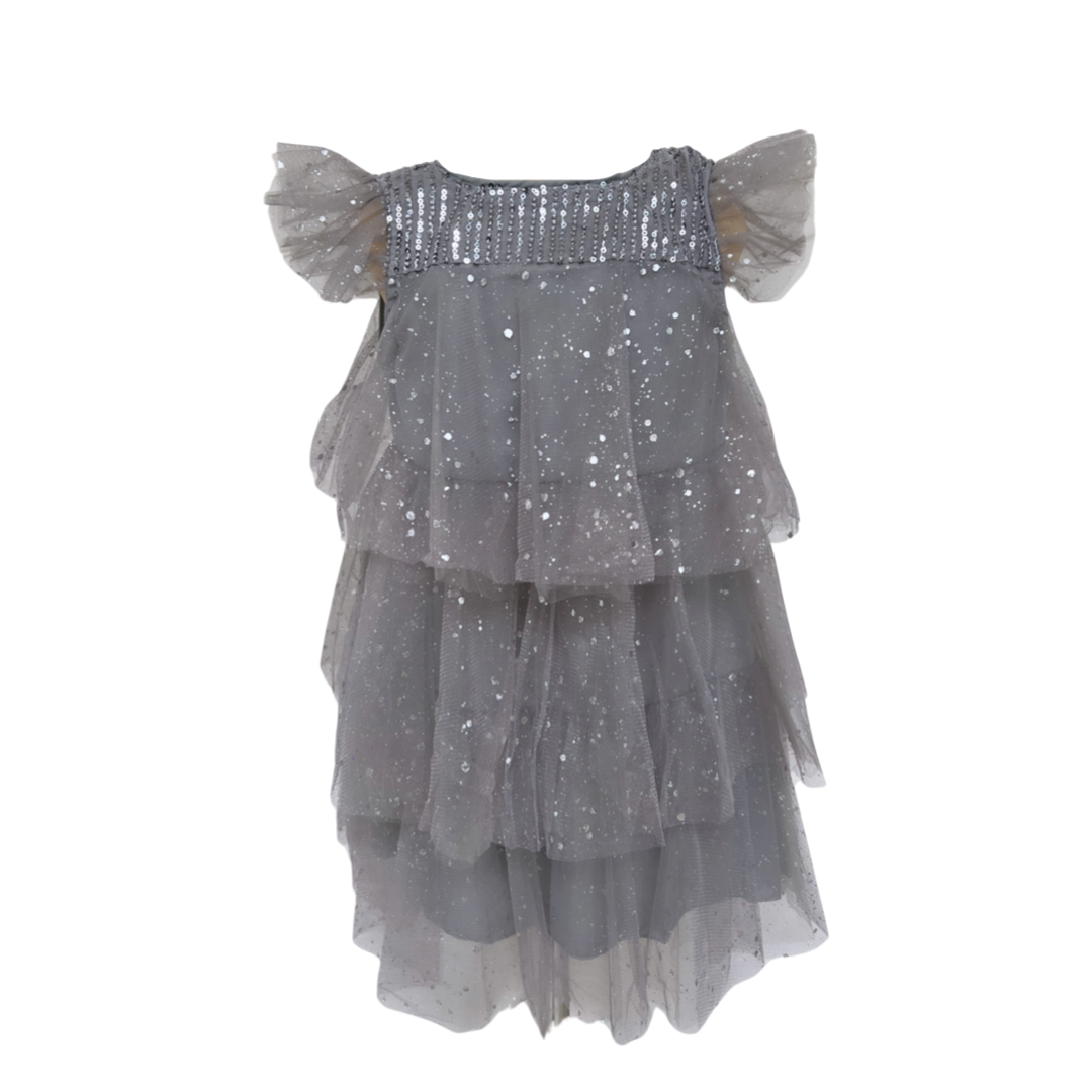 Vestido Gris con Plata