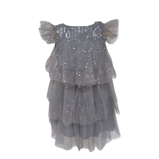 Vestido Gris con Plata